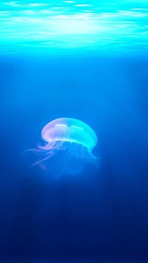 黑料指的是什么截图3